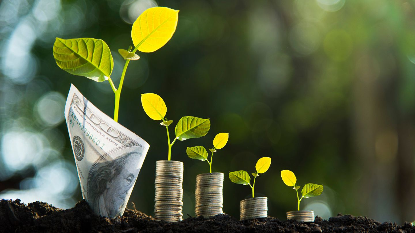 A stack of money with a plant growing out of it, symbolizing the intersection of financing and growth.