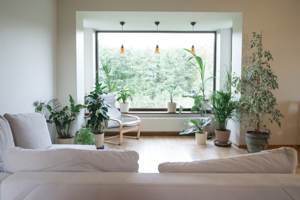 A modern living room that incorporates the latest home remodeling trends with green plants and a sleek white couch.