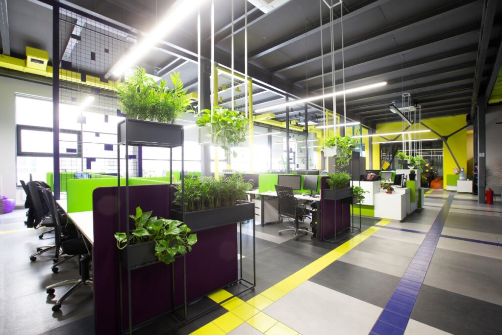 A modern office with green walls and plants.