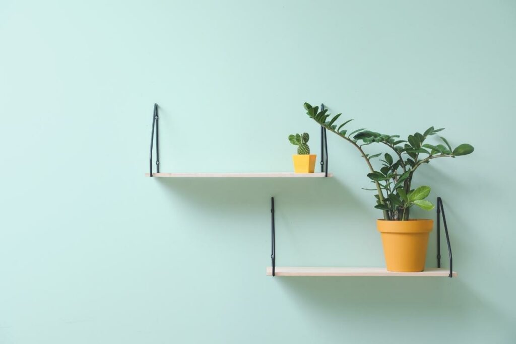 Two decorative wooden wall shelves with a potted plant on them.