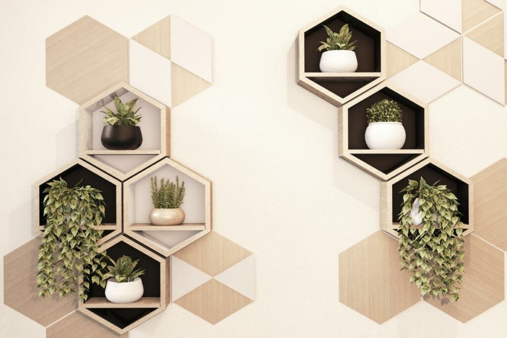 Two decorative hexagonal wall shelves with plants on them.
