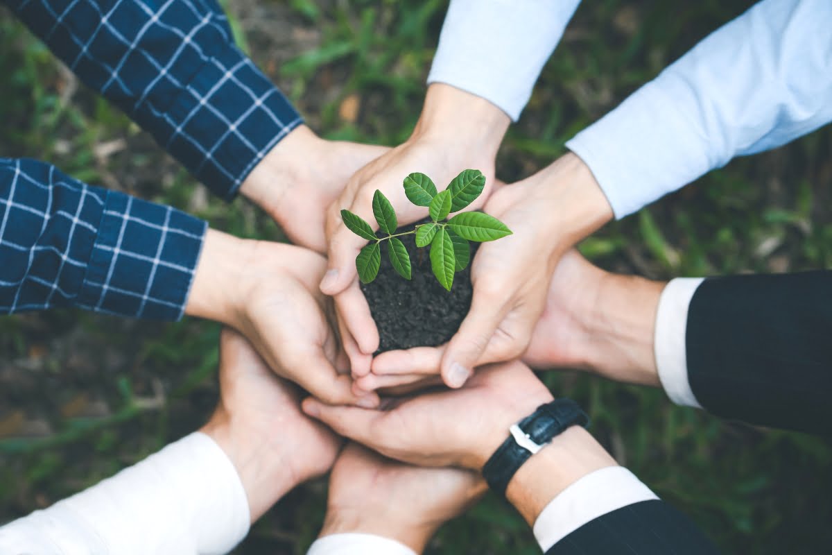 Five pairs of hands holding soil with a small plant growing from it, symbolizing teamwork and environmental growth in urban planning.