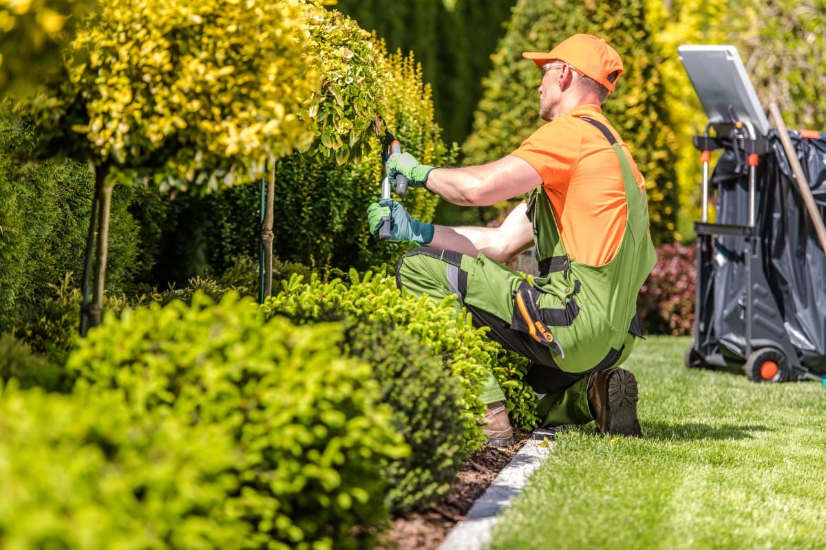 Dressed in a green and orange uniform, the gardener trims a hedge with clippers, surrounded by lush greenery, evoking the meticulous care often seen in energy-efficient remodeling.