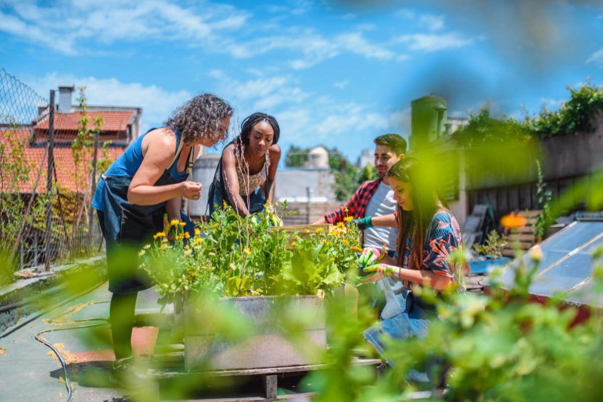 Four people tending to plants in a rooftop garden under a clear blue sky, next to an accessory dwelling unit that seamlessly integrates modern living with vibrant green spaces.